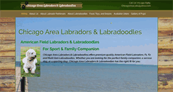 Desktop Screenshot of chicagoarealabs.com